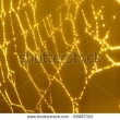 Stock Photo Blue Spider Web A Background 688419